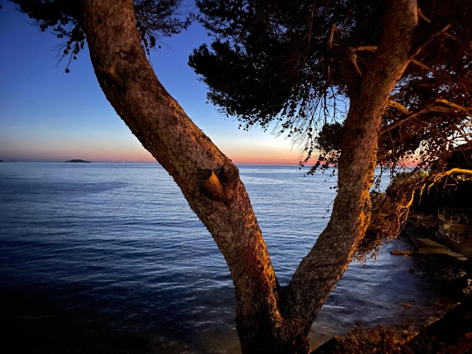 Vacances Bord De Mer - Appartement Sanary Sur Mer Luaran gambar